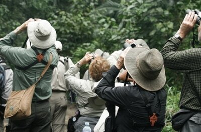 Process Manufacturing ERP Search