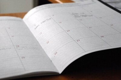 ERP selection timeline - diary